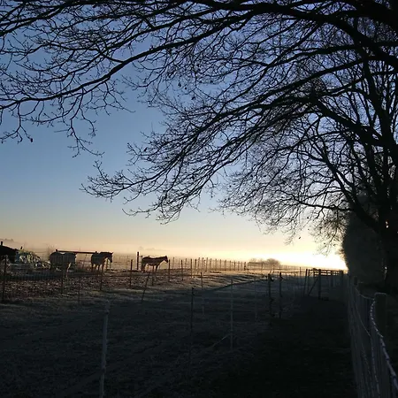 Herzfeldhof בית חווה *