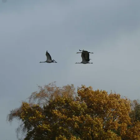 בית חווה Herzfeldhof וורפסוודה