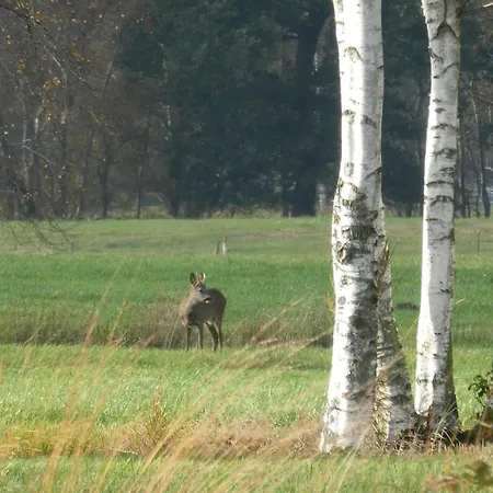Farm stay Herzfeldhof *